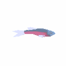 Briny Guppi